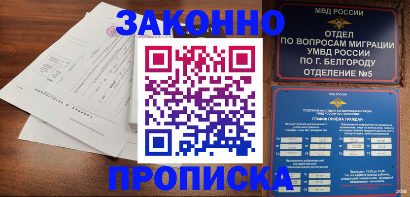 прописка в Химках